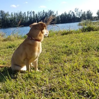 Wolf Lake Park - Parks Near Me - Davie, Florida
