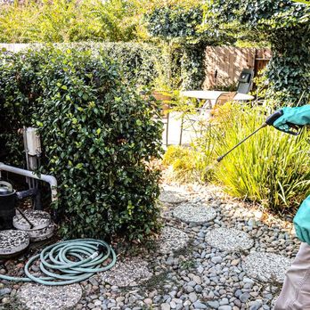 EcoGuard Pest Management - Pest Control Near Me
