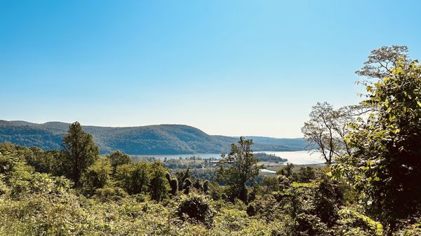 Bear Mountain by null