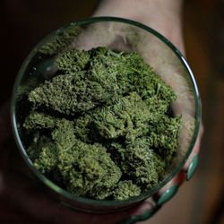 Mountain Annie's Dispensary