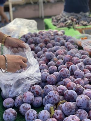 Alemany Farmer's Market by null