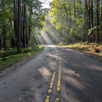 William B Umstead State Park - Drive up to MUT - Hiking Near Me - Cary, North Carolina