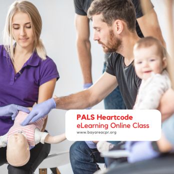 Safety Training Seminars - PALS Heartcode eLearning Online Course in Hayward - CPR Classes Near Me - Hayward, California