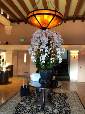 Hotel Carmel by null