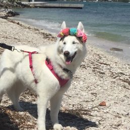 Easter fun at bird key