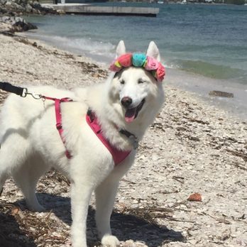 Bird Key Park - Easter fun at bird key - Parks Near Me - Sarasota, Florida