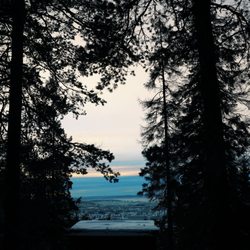 Kjerringfred