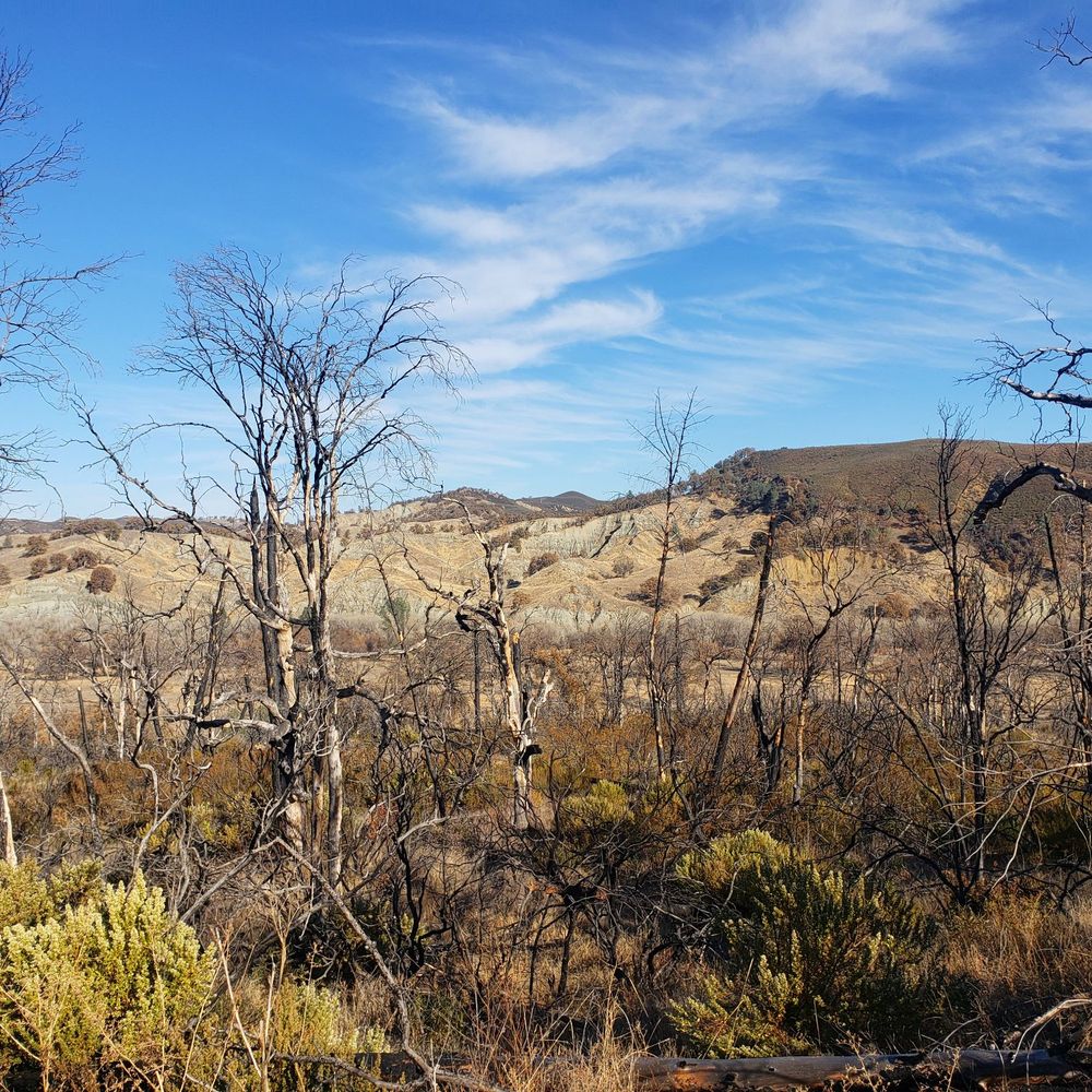 Cache Creek Natural Area - On the Redbud Trail - Hiking Near Me - Rumsey, California