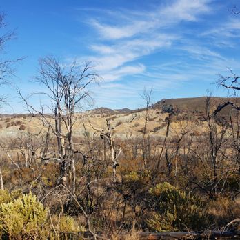 Cache Creek Natural Area - On the Redbud Trail - Hiking Near Me - Rumsey, California