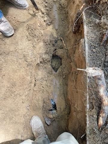 Slide of Tooter Rooter