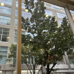 MossRehab at Center City