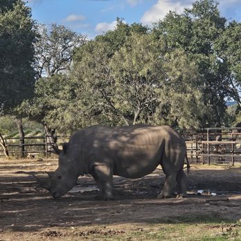 Rhinory - Wineries Near Me - Fredericksburg, Texas Rhinory - Wineries Near Me - Fredericksburg, Texas