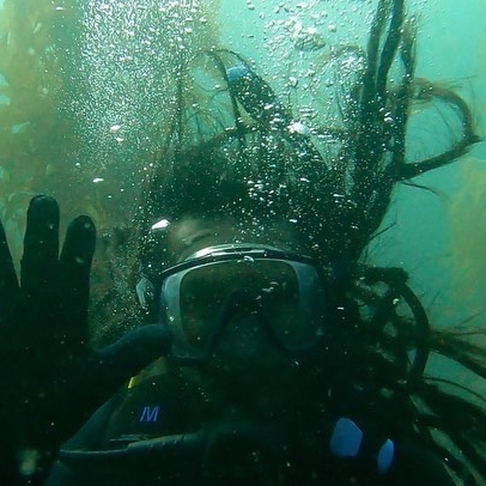 Scuba - Scuba Diving Near Me - Costa Mesa, California Scuba - Scuba Diving Near Me - Costa Mesa, California