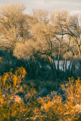 Pahranagat National Wildlife Refuge by null