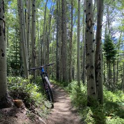 Elevation Ski & Bike - Lower flumes trail