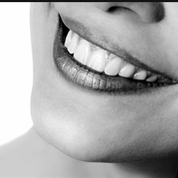 Martin Brown, DDS