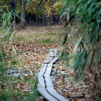 Closter Nature Center - Planked and marked trails. - Hiking Near Me - Closter, New Jersey