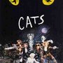 Photo of CATS the Musical