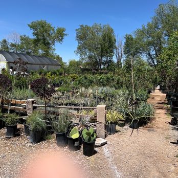 Jericho Nursery - Nurseries & Gardening Near Me - Albuquerque, New Mexico