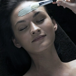 Elysian Brows