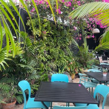The Empanada Lady - Outdoor seating w plant wall - Caribbean Near Me - Wailuku, Hawaii The Empanada Lady - Outdoor seating w plant wall - Caribbean Near Me - Wailuku, Hawaii