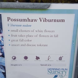 Herring Run Nursery