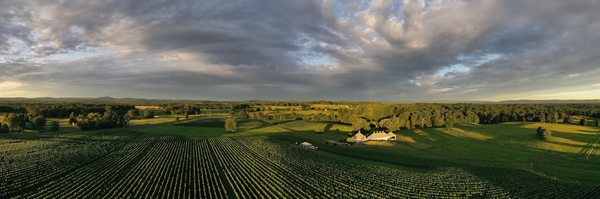 Boxwood Estate Winery by null