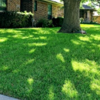 Carlos Lawn Care - a lawn in front of a house - Lawn Services Near Me Carlos Lawn Care - a lawn in front of a house - Lawn Services Near Me