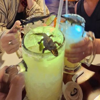 The Gator Shack - Gator margarita - Seafood Near Me - Sebring, Florida