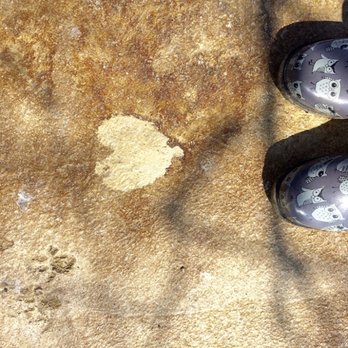 Stephanie Osman design - Outdoor concrete custom treatment. - Interior Design Near Me - Dayton, Ohio Stephanie Osman design - Outdoor concrete custom treatment. - Interior Design Near Me - Dayton, Ohio