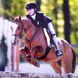 Hunters & Jumpers Equine Private Events - Summer Show