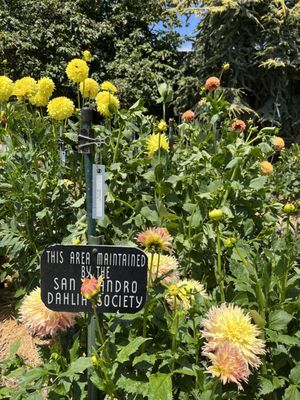 The Gardens at Lake Merritt by null