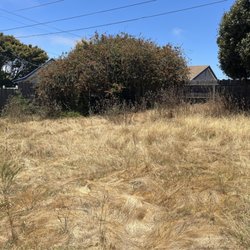 Juan Delgado Gardening Services - Backyard before