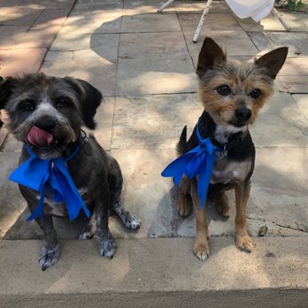Ladies Pet Grooming - Pet Groomers Near Me - Glendora, California
