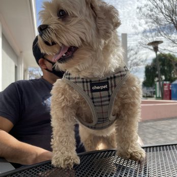 Roger's Deli & Donuts - Dog-friendly outdoor seating - Delis Near Me - Mountain View, California