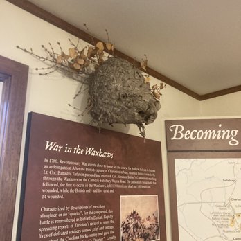 Andrew Jackson State Park - Parks Near Me - Lancaster, South Carolina