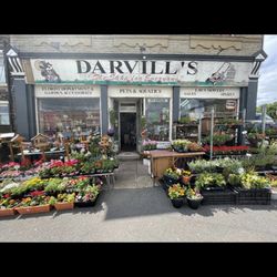 Darvills Pets & Gardens