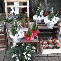 Mengher - Hannas Blumenstudio