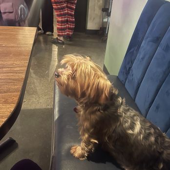 Tres Amores y Cantina - Pet friendly - Italian Near Me - Oxnard, California Tres Amores y Cantina - Pet friendly - Italian Near Me - Oxnard, California