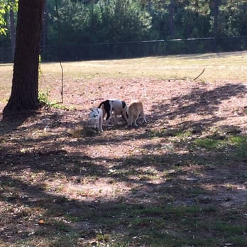 Robins AFB Dog Park - My crew, Simone, Otis, and Pearl...my road dogs! - Dog Parks Near Me - Robins Air Force Base, Georgia Robins AFB Dog Park - My crew, Simone, Otis, and Pearl...my road dogs! - Dog Parks Near Me - Robins Air Force Base, Georgia