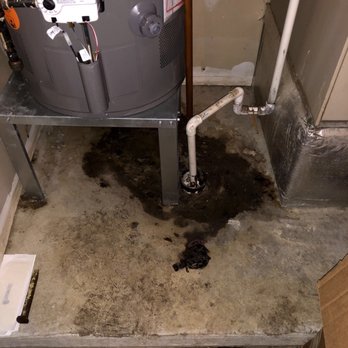 American Homes 4 rent - I don't know what this black stuff is but it leaks into the house. The black stuff was here before we moved in. - Property Management Near Me - Indianapolis, Indiana