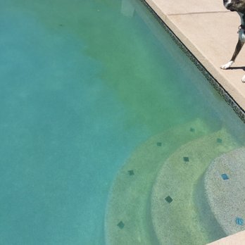 Desert Pool Specialists - 4 days after he cleaned my pool (and left my hose on for almost 24 straight hours without informing me) - Pool & Hot Tub Service Near Me Desert Pool Specialists - 4 days after he cleaned my pool (and left my hose on for almost 24 straight hours without informing me) - Pool & Hot Tub Service Near Me