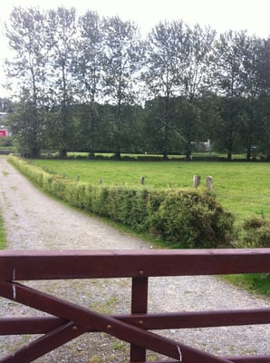 Baltinglass Abbey by null