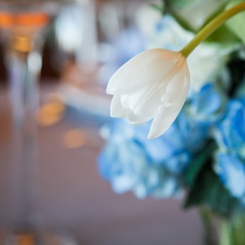 Crazy Daisies Flowers and Weddings - Florists Near Me - Buckeye, Arizona Crazy Daisies Flowers and Weddings - Florists Near Me - Buckeye, Arizona