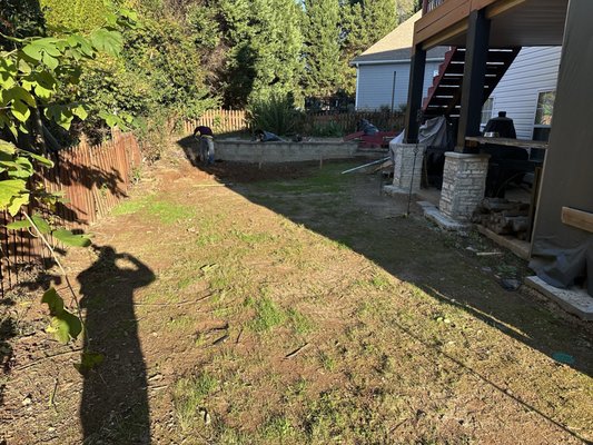 Kafenio Avondale by null