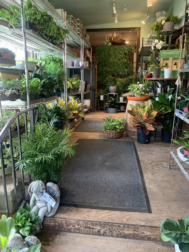 CEDAR GROVE GARDENS Updated September 2024 42 Photos & 41 Reviews 36 Milton St, Dorchester