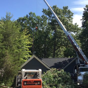 Allen Tree Service - Tree Services Near Me - Cary, North Carolina Allen Tree Service - Tree Services Near Me - Cary, North Carolina