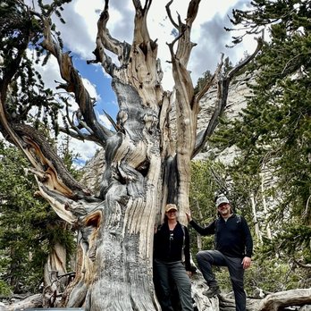 Great Basin National Park - Parks Near Me - Baker, Nevada Great Basin National Park - Parks Near Me - Baker, Nevada
