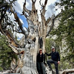 Great Basin National Park