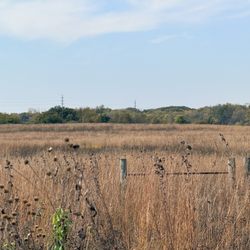 Midewin National Tallgrass Prairie - Prairie